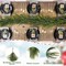 2 PCS Artificial Norfolk Pine Garlands, Real Touch Pine Garland Faux Greenery Garland Winter Christmas Garland for Table Mantle Fireplace Holiday Indoor Outdoor Xmas Decorations (6 FT)